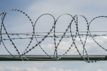 Fence against the sky