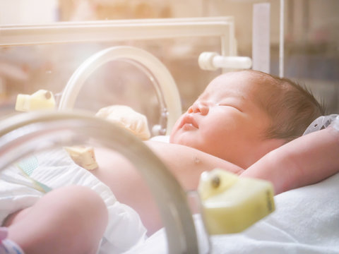 Newborn Baby Girl Inside Incubator In Hospital Post Delivery Room