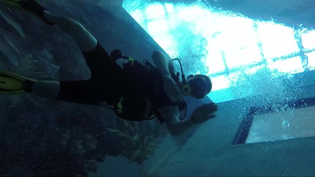 A diver swims in a pool - view from below