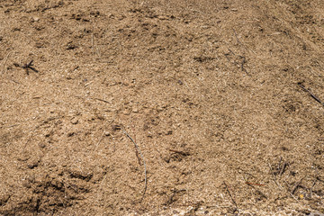 Humus texture