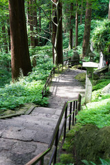 山寺の参道のイメージ
