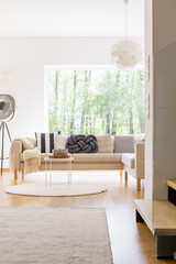 Comfortable sofa and designed lamp