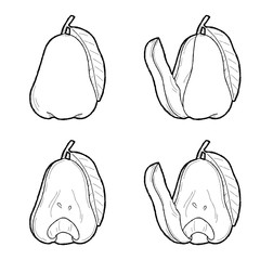 Roseapple Vector Illustration Hand Drawn Fruit Cartoon Art