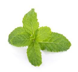 Mint leaves isolated on white background