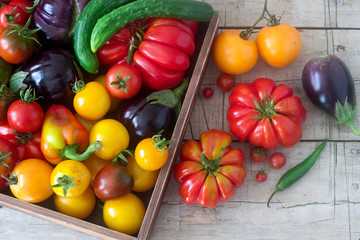 Fresh vegetables on a wooden surface. Tomatoes, peppers, cucumbers and eggplants. Rustic style, selective focus.