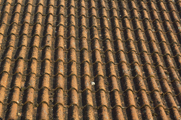 roof tiles pattern
