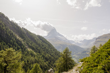 Obraz premium Zermatt, górska wioska, Findeln, Sunnegga, Findelbach, wąwóz Findelbach, wąwóz, szlak turystyczny, modrzewiowy las, Alpy, Matterhorn, Valais, lato, Szwajcaria