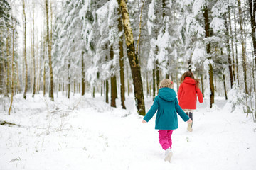 Fototapeta premium Two adorable little girls having fun together in beautiful winter park. Beautiful sisters playing in a snow.