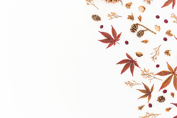 Frame made of autumn leaves, dried flowers and pine cones isolated on white background. Flat lay, top view, copy space.
