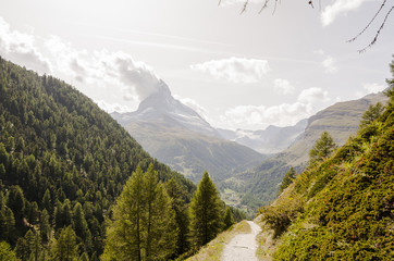 Zermatt, Dorf, Bergdorf, Findeln, Sunnegga, Wanderweg, Findelbach, Alpen, Wallis, Matterhorn, Zmutt, Zmuttgletscher, Sommer, Schweiz