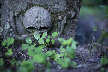 Skull on the cenotaph
