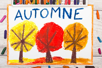 Photo of  colorful drawing: French word Autumn and trees with red, yellow and orange leaves