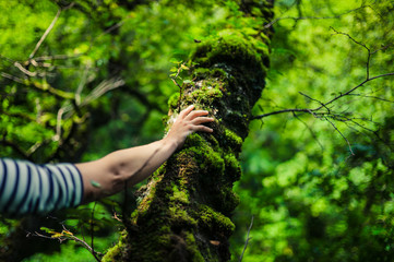Woman resting her hand on a tree in the forest © LoloStock