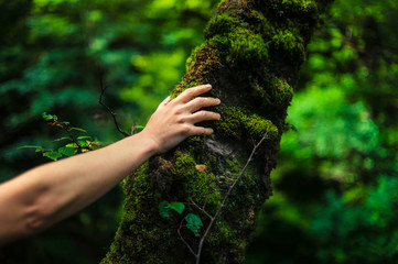 Woman resting her hand on a tree in the forest