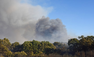 fire in Verin, Galicia, Spain