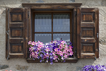 Fototapeta na wymiar Flowers on windowsill of window with open shutters
