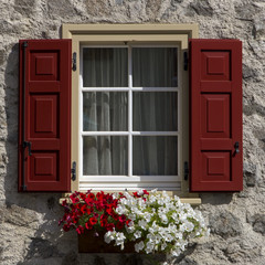 Fototapeta na wymiar Flowers in window with open wooden shutters