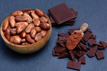 Cacao beans in a bowl with chocolate on slate