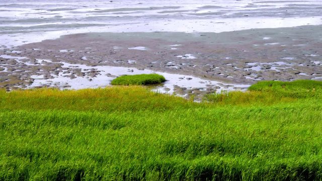 Watt Queller und Priel im Weltnaturerbe Wattenmeer Nordsee
