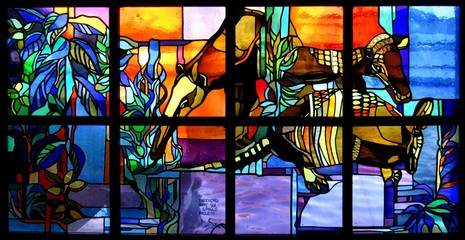 Brazilian faune in stained glass
