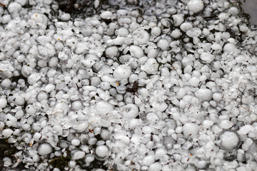 hailstones on the ground after hailstorm, hail of great size, hail sized with a larger coin