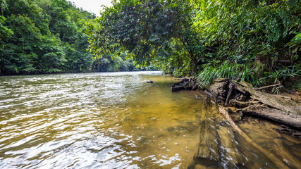 the river indonesia in jungles