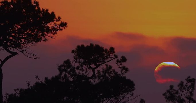 This is a video of the sun moving through the clouds and setting into the trees. This is a 1080 P one minute long video. There's a lot of space for a copy in this video could work well as a church wor