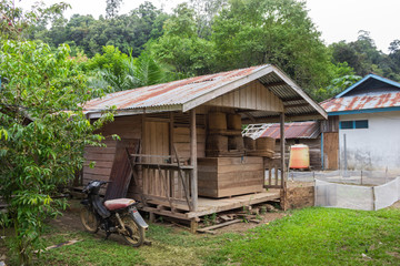 traditional houses of the native people of indonesia in village
