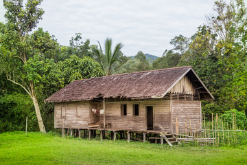 Fototapeta na wymiar traditional houses of the native people of indonesia in village
