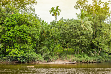 Fototapeta na wymiar traditional boat on the river indonesia in jungles