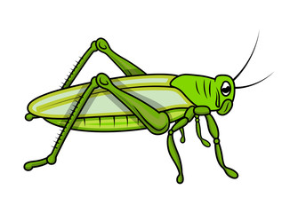 Cartoon Grasshopper Vector