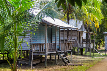 traditional houses of the native people of indonesia in village