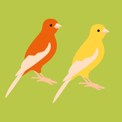 canary  bird  vector illustration style flat  profile side
