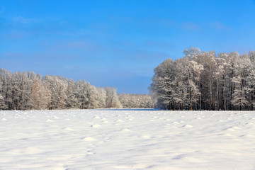 Unbelievable winter scene with snow covered forests.