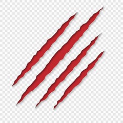 Claws scratches with shadows. vector isolated