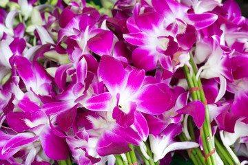 Beautiful bouquets of purple and white orchid flowers stacked on display at flower market in bangkok, thailand