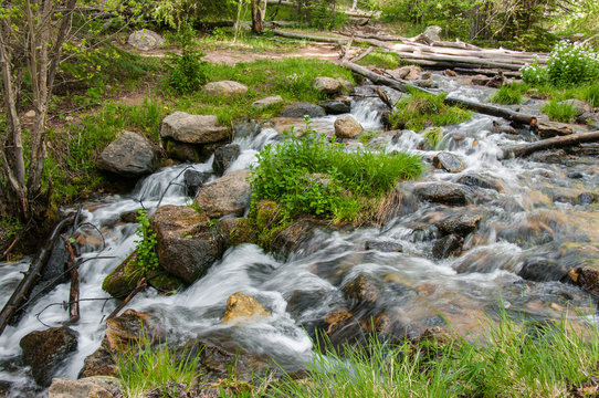 New Mexico Mountain Stream