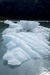 Flat Iceberg, Glacier Bay