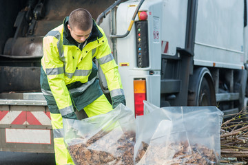 leaves collected during garden autumn works