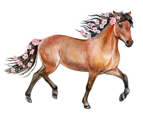 A brown horse with a flowering mane. Flowers and a horse. Watercolor. illustration © Yuliia