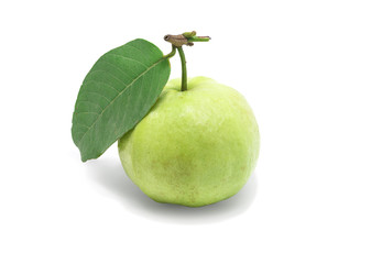 Guava fruit isolated on white background.