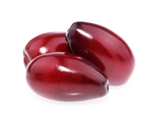 Red berries of cornel or dogwood isolated on white