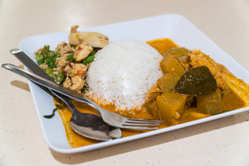 Chicken Curry and rice on a white plate.