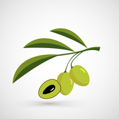 Olive oil.Vector decorative olive branch