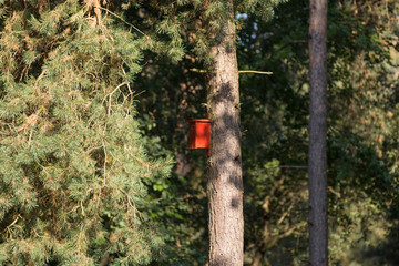 Nistkasten im Teuteburger Wald