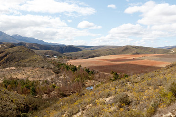 Bushes, farmlands and lots of mountains