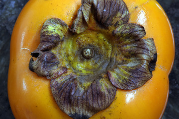 Still of life of persimmon