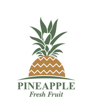 illustration of pineapple tropical fruit