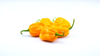 Habanero Orange Chilishoten High Key