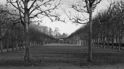 Jardin du château de Compiègne en noir et blanc durant l'hiver